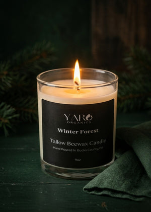 WINTER FOREST TALLOW BEESWAX CANDLE